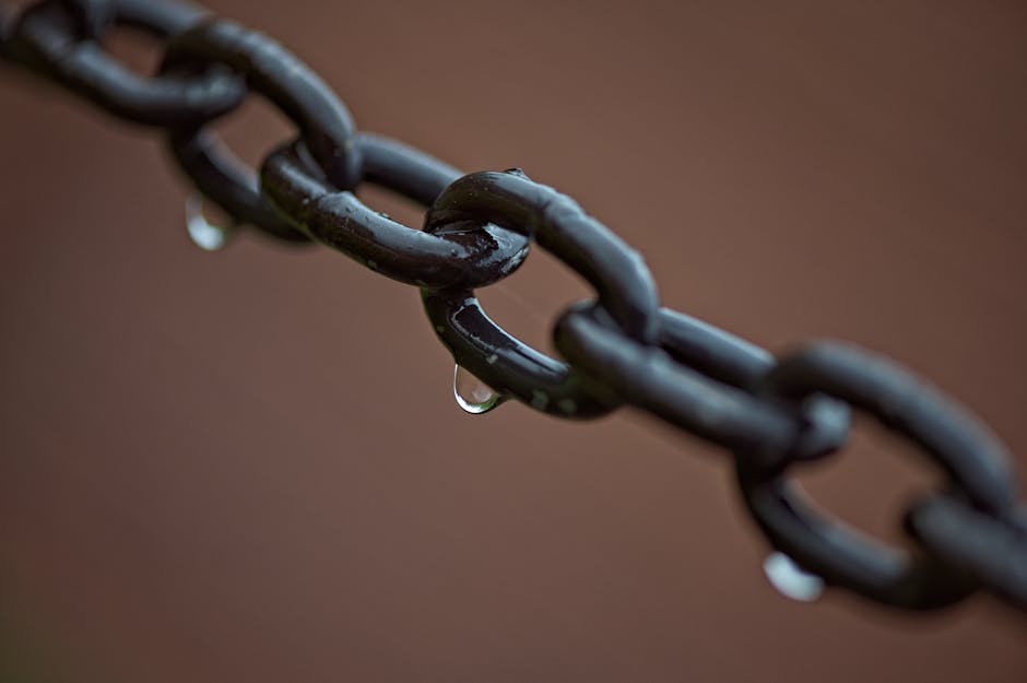 Técnicas avançadas de link building para SEO
